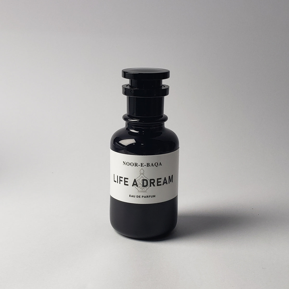 Life a Dream by Noor-e-Baqa
