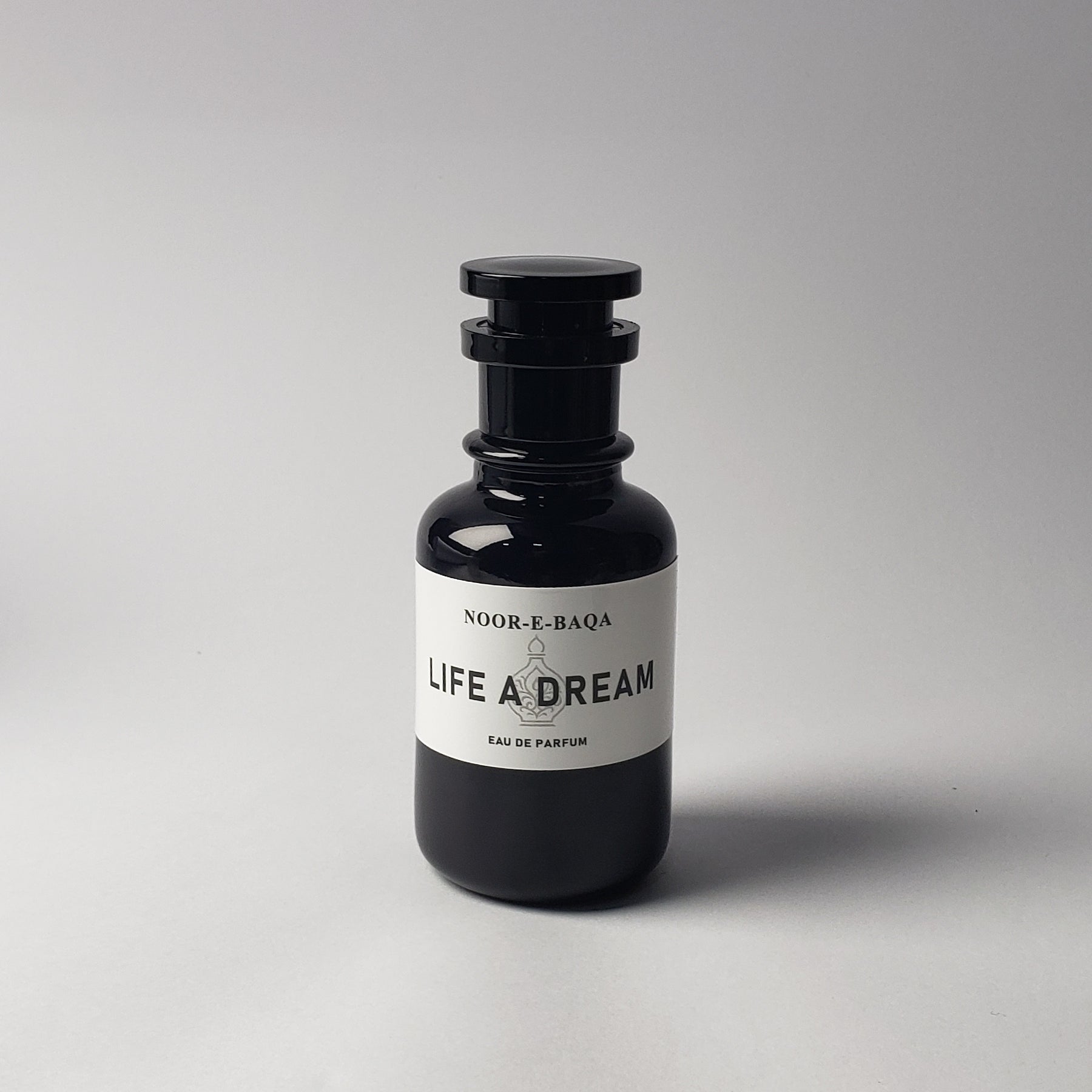Life a Dream by Noor-e-Baqa